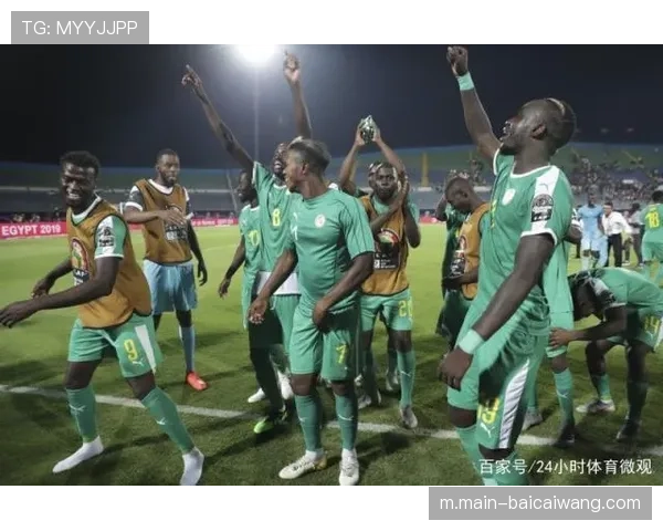 非洲杯小组赛数据统计显示 控球率与胜率关联性明显